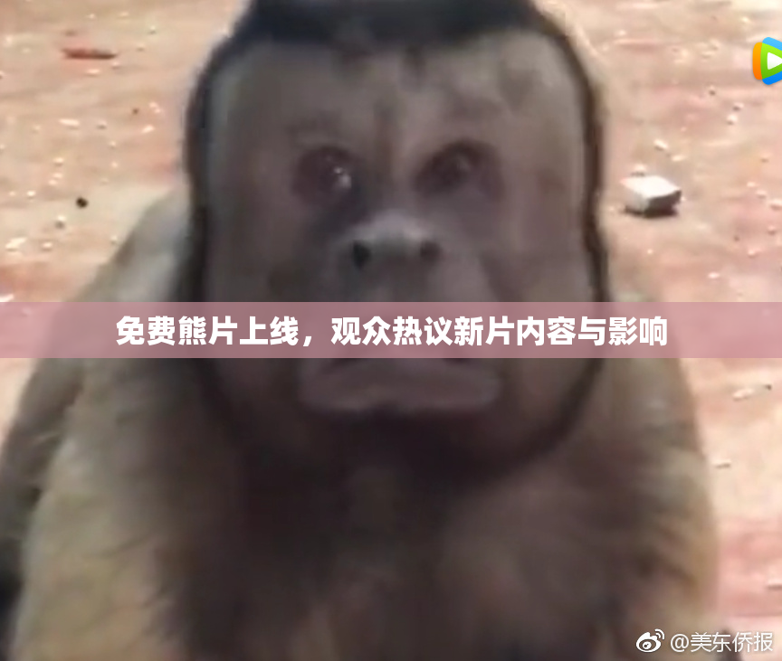 免费熊片上线，观众热议新片内容与影响