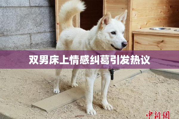 双男床上情感纠葛引发热议