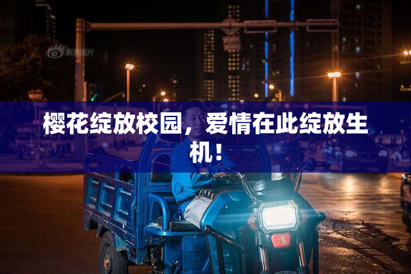 樱花绽放校园，爱情在此绽放生机！