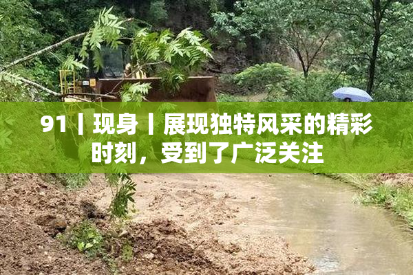 91丨现身丨展现独特风采的精彩时刻，受到了广泛关注