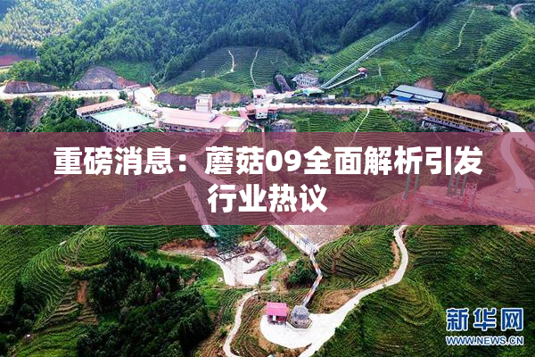 重磅消息：蘑菇09全面解析引发行业热议