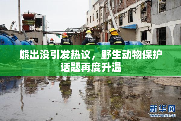 熊出没引发热议，野生动物保护话题再度升温