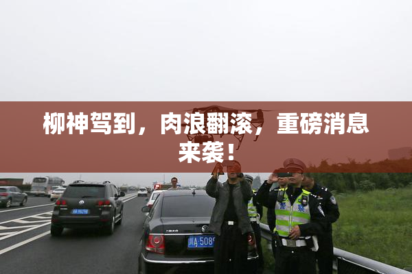 柳神驾到，肉浪翻滚，重磅消息来袭！
