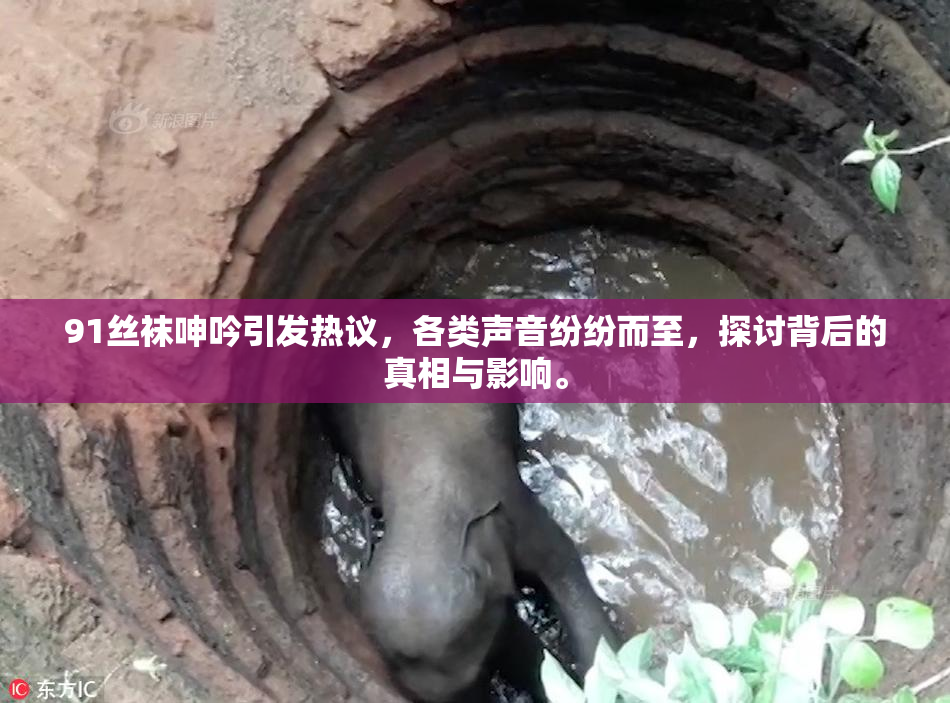 91丝袜呻吟引发热议，各类声音纷纷而至，探讨背后的真相与影响。