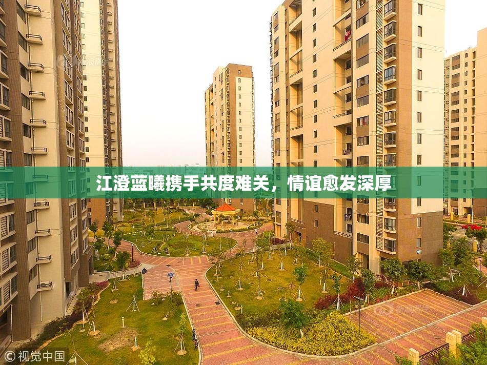 江澄蓝曦携手共度难关，情谊愈发深厚