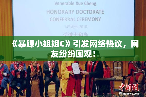 《暴躁小姐姐C》引发网络热议，网友纷纷围观！