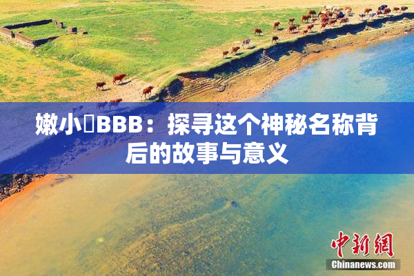 嫩小槡BBB：探寻这个神秘名称背后的故事与意义