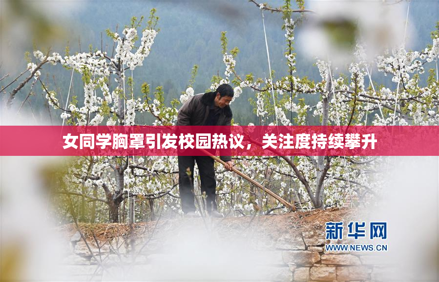 女同学胸罩引发校园热议，关注度持续攀升