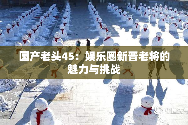 国产老头45：娱乐圈新晋老将的魅力与挑战
