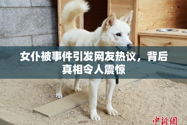 女仆被事件引发网友热议，背后真相令人震惊