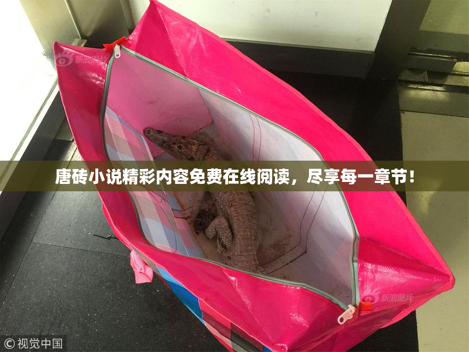 唐砖小说精彩内容免费在线阅读，尽享每一章节！