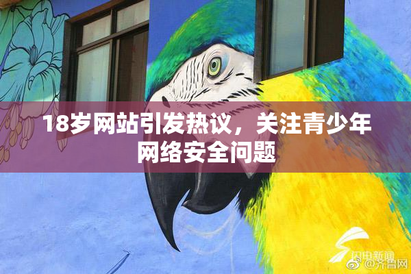 18岁网站引发热议，关注青少年网络安全问题
