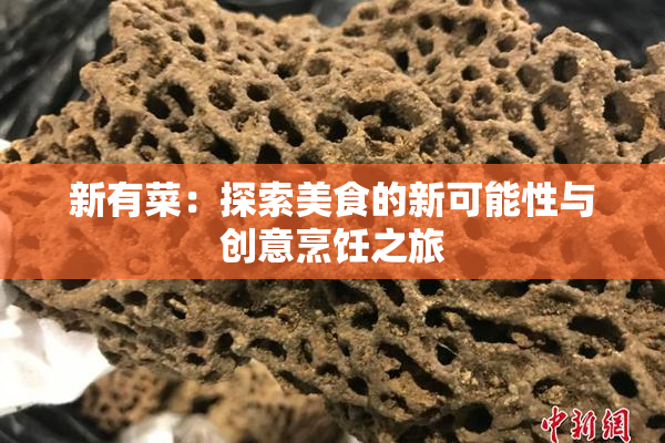 新有菜：探索美食的新可能性与创意烹饪之旅