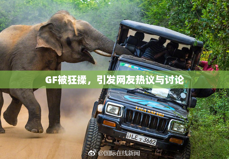 GF被狂揉，引发网友热议与讨论
