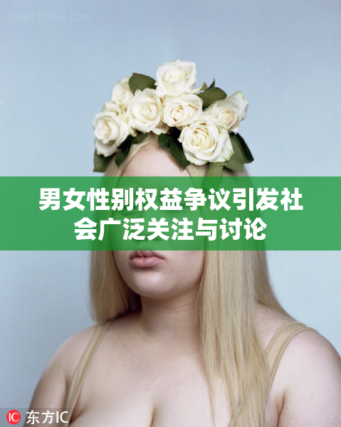 男女性别权益争议引发社会广泛关注与讨论
