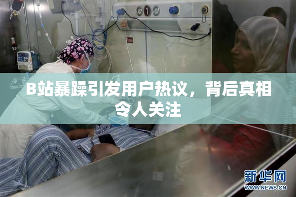 B站暴躁引发用户热议，背后真相令人关注