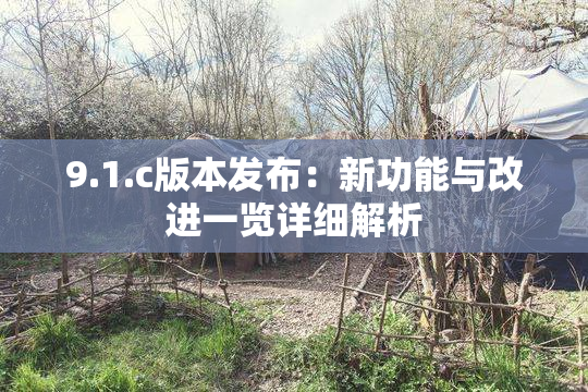 9.1.c版本发布：新功能与改进一览详细解析