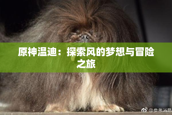 原神温迪：探索风的梦想与冒险之旅