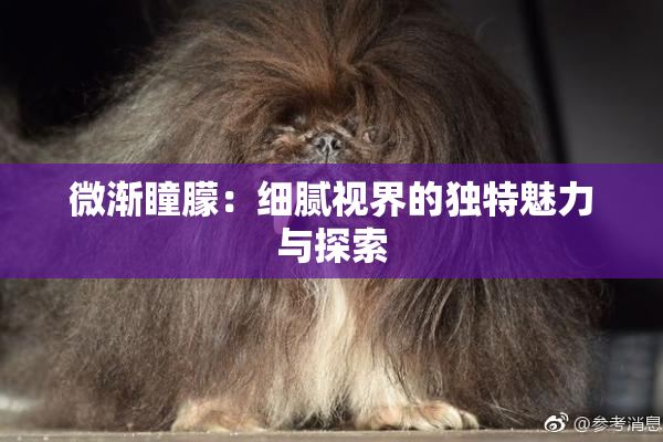 微渐瞳朦：细腻视界的独特魅力与探索