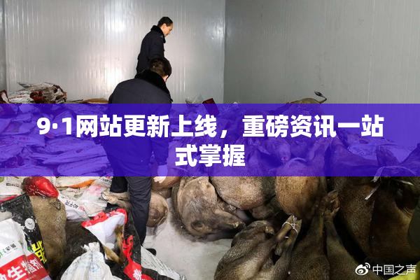 9·1网站更新上线，重磅资讯一站式掌握