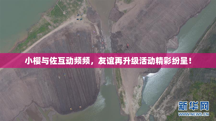 小樱与佐互动频频，友谊再升级活动精彩纷呈！