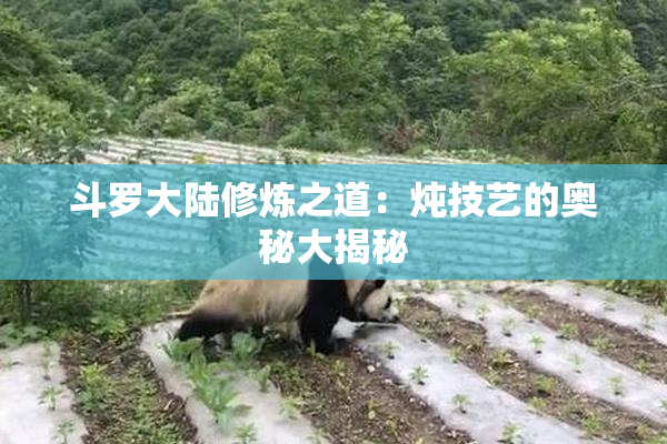 斗罗大陆修炼之道：炖技艺的奥秘大揭秘