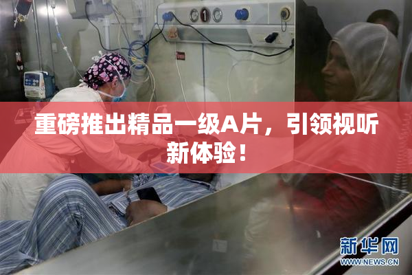 重磅推出精品一级A片，引领视听新体验！