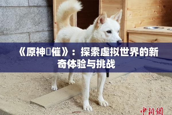《原神婬催》：探索虚拟世界的新奇体验与挑战