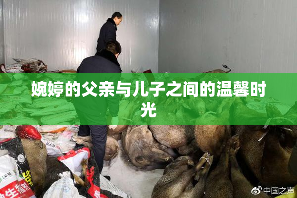 婉婷的父亲与儿子之间的温馨时光