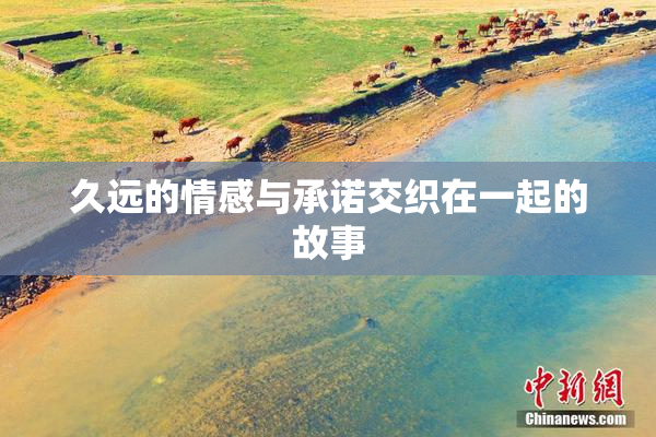 久远的情感与承诺交织在一起的故事