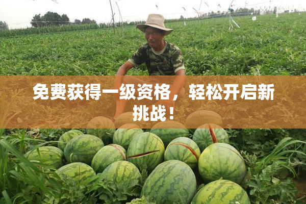 免费获得一级资格，轻松开启新挑战！