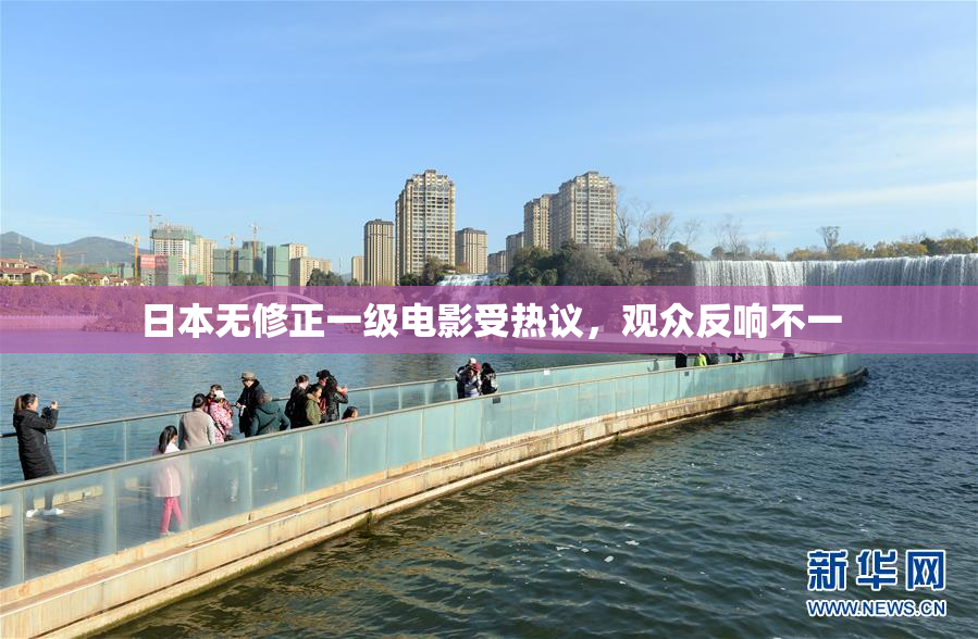 日本无修正一级电影受热议，观众反响不一