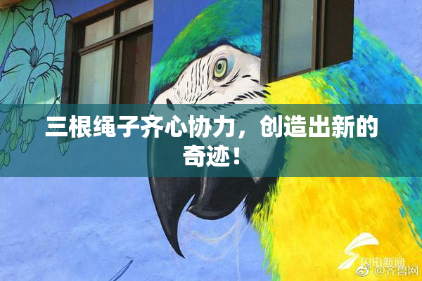 三根绳子齐心协力，创造出新的奇迹！