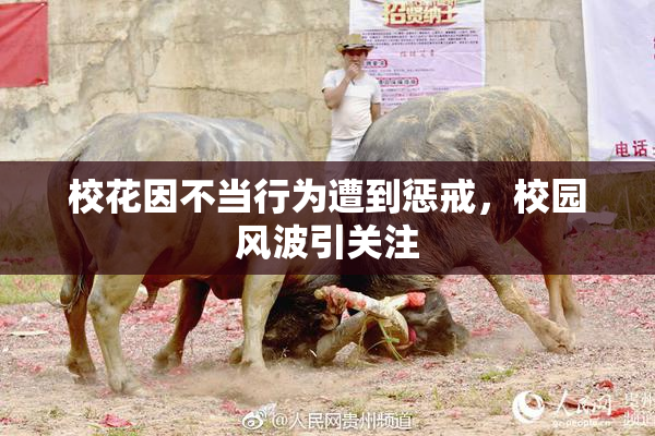 校花因不当行为遭到惩戒，校园风波引关注
