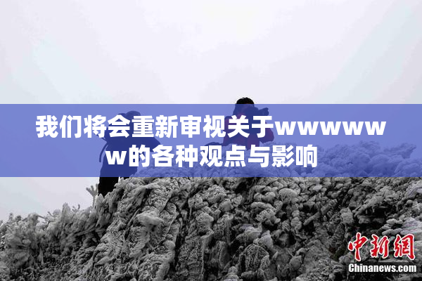我们将会重新审视关于wwwwww的各种观点与影响