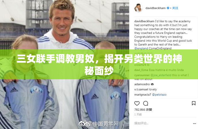 三女联手调教男奴，揭开另类世界的神秘面纱