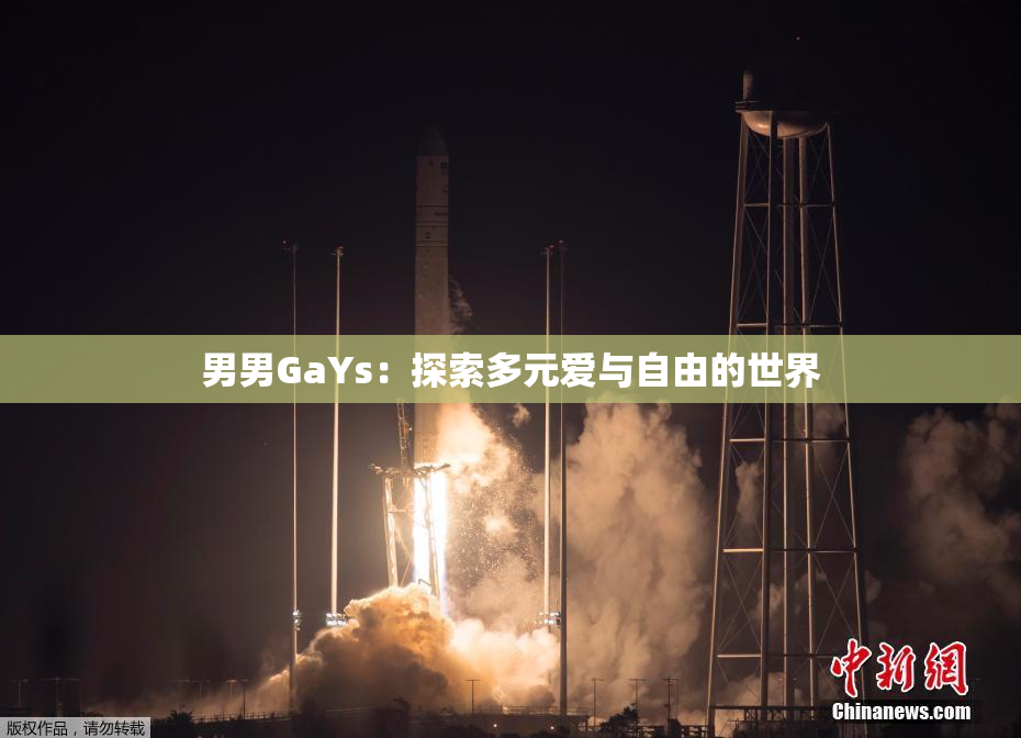 男男GaYs：探索多元爱与自由的世界