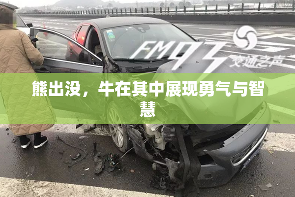 熊出没，牛在其中展现勇气与智慧