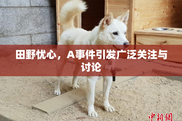 田野忧心，A事件引发广泛关注与讨论