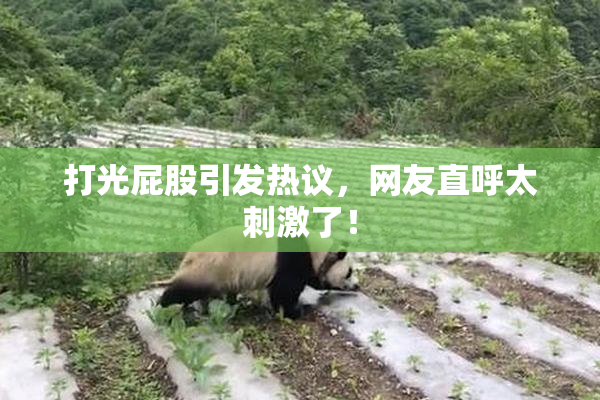 打光屁股引发热议，网友直呼太刺激了！