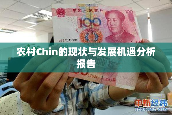 农村Chin的现状与发展机遇分析报告