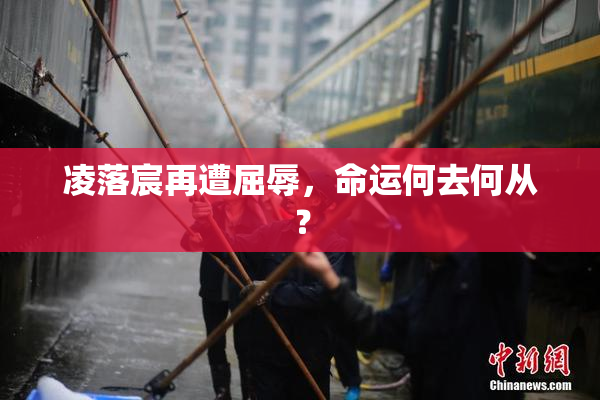 凌落宸再遭屈辱，命运何去何从？