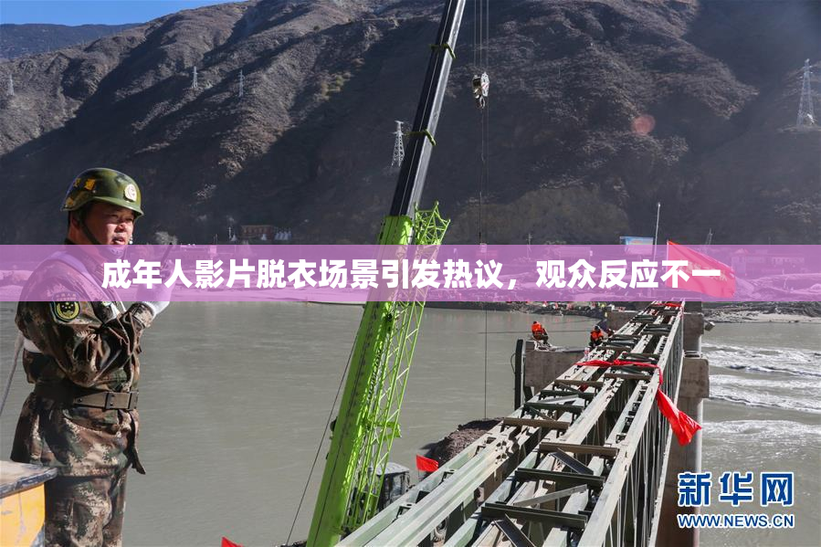 成年人影片脱衣场景引发热议，观众反应不一