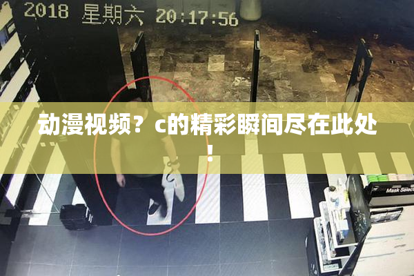 动漫视频？c的精彩瞬间尽在此处！