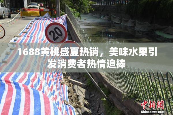 1688黄桃盛夏热销，美味水果引发消费者热情追捧