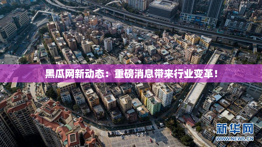黑瓜网新动态：重磅消息带来行业变革！