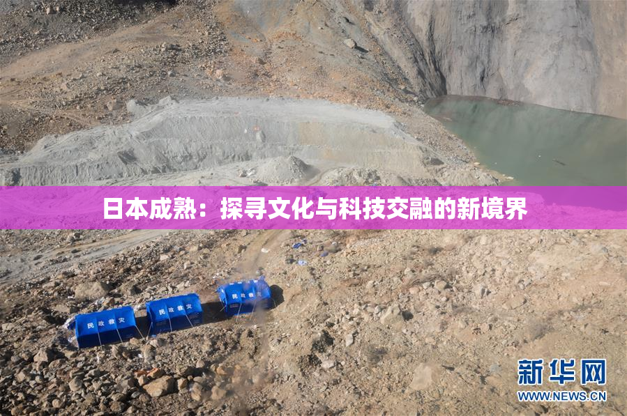日本成熟：探寻文化与科技交融的新境界