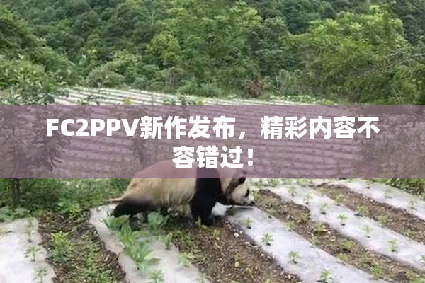 FC2PPV新作发布，精彩内容不容错过！