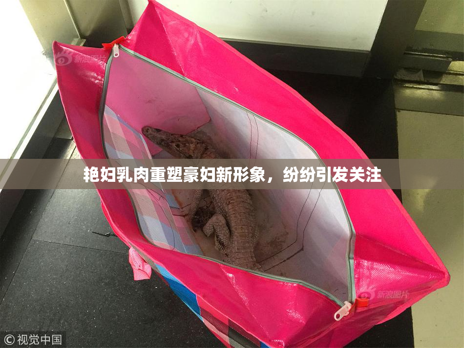 艳妇乳肉重塑豪妇新形象，纷纷引发关注