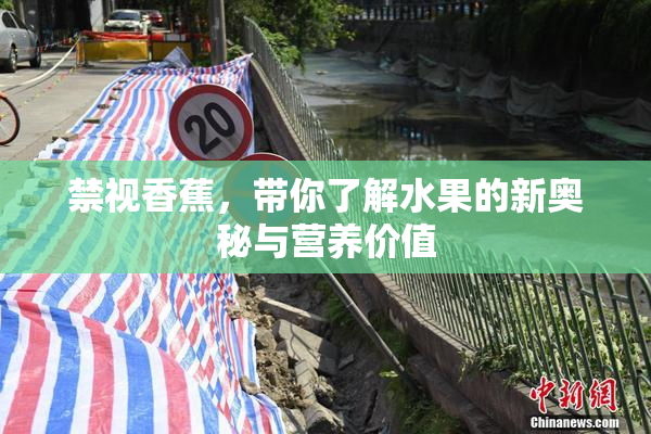 禁视香蕉，带你了解水果的新奥秘与营养价值